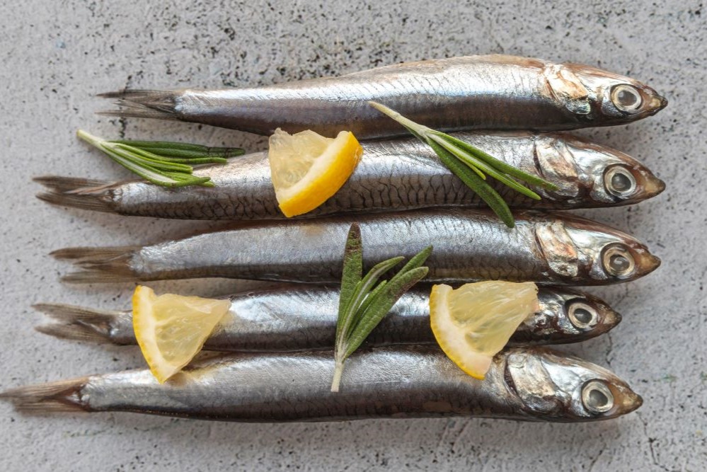 anchois